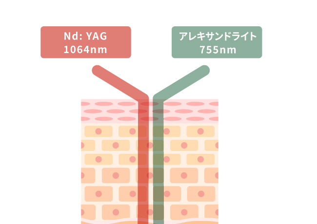 西神      Nクリニック ブレンドフェイシャル