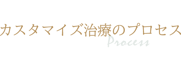 カスタマイズ治療のプロセス
