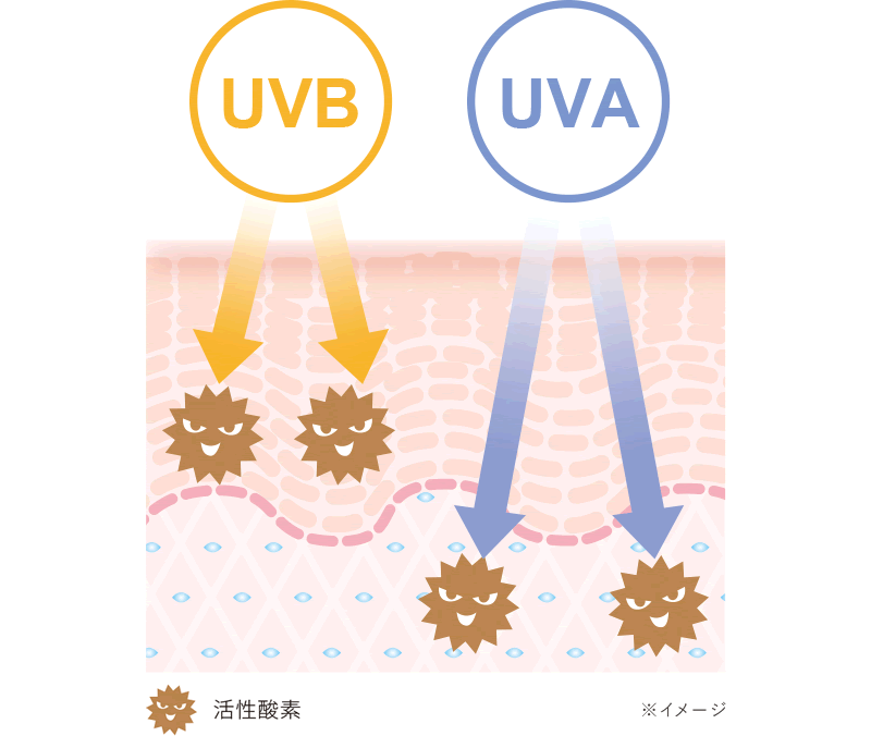 紫外線による影響