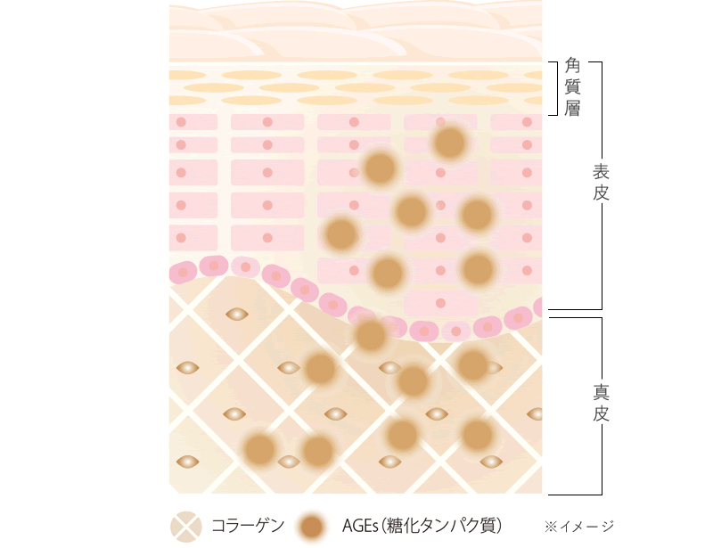 糖化が進むと…