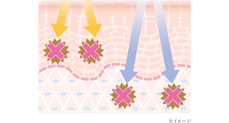 飲む日焼け対策