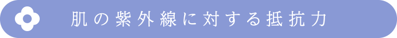 肌の紫外線に対する抵抗力